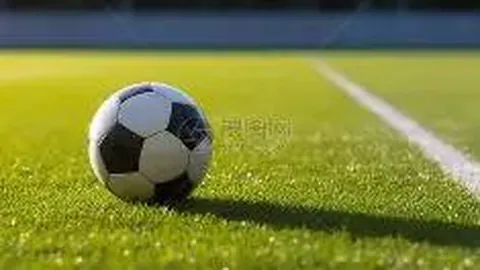 星空娱乐 产品 113504 xn8